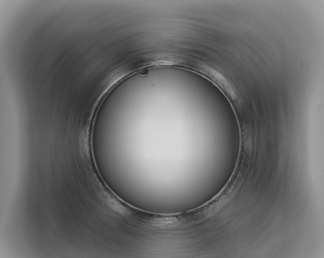 X0000113101186200908281342