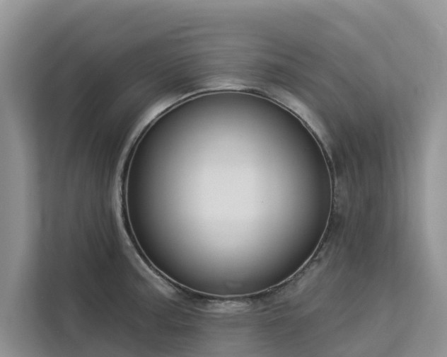 X0000113101187200908281342
