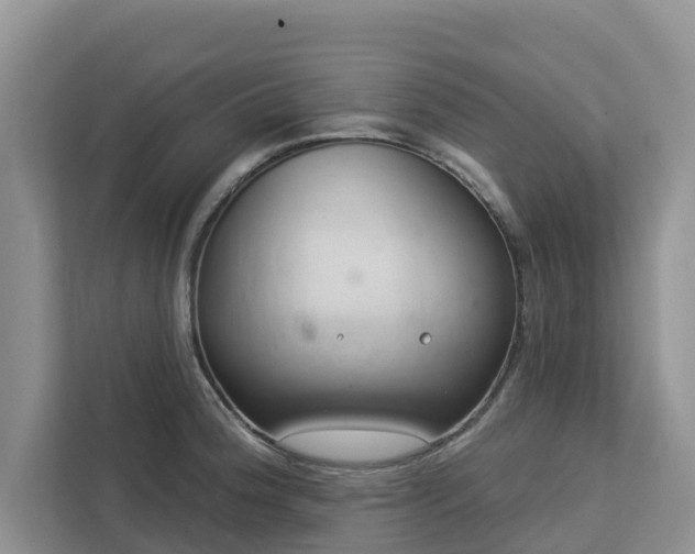 X0000113101188200908281342