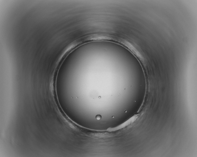 X0000113101189200908281342