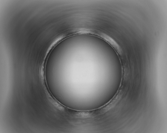 X0000113101190200908281342