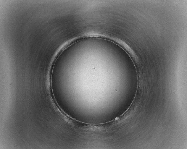X0000113101191200908281342