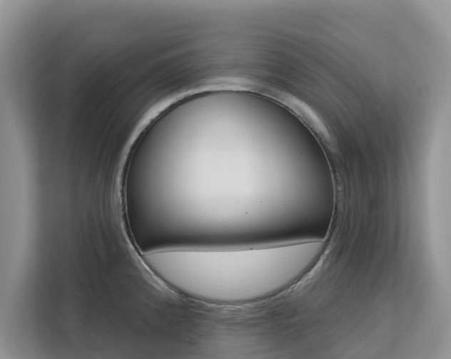 X0000113101192200908281342