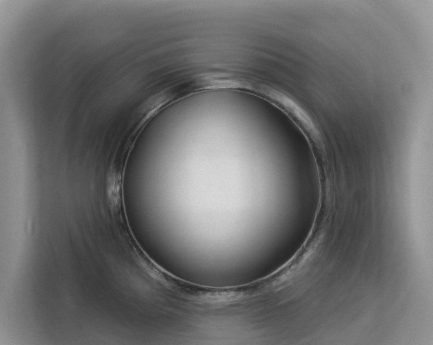 X0000113101193200908281342