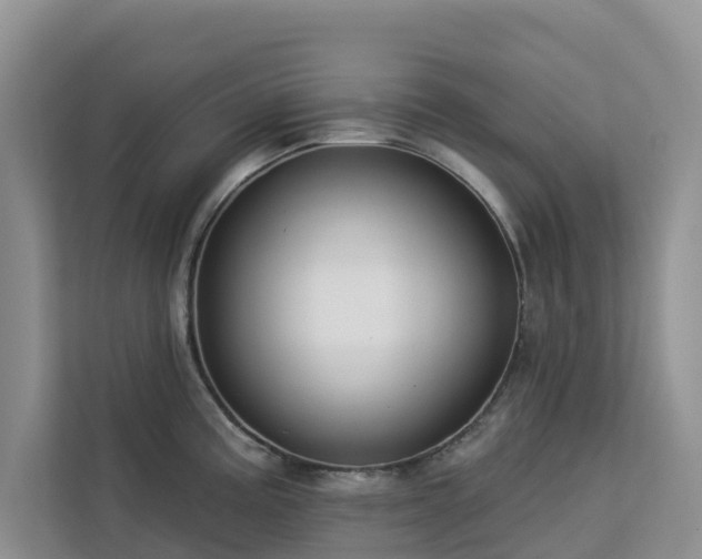 X0000113101195200908281341