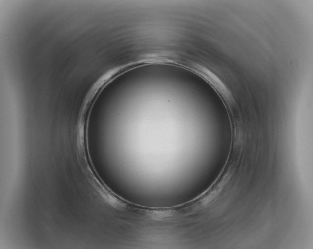 X0000113101196200908281341