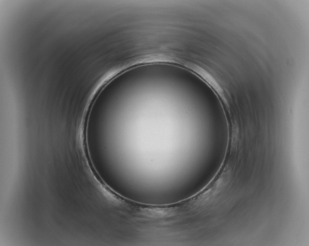 X0000113101197200908281341