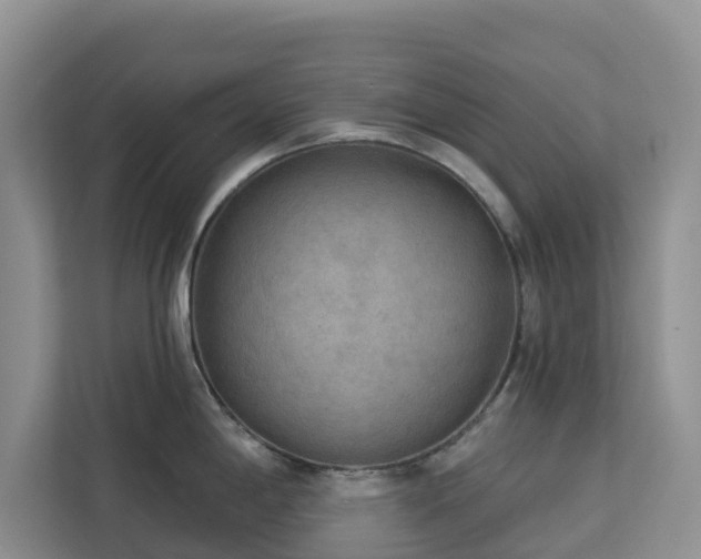 X0000113101198200908281341