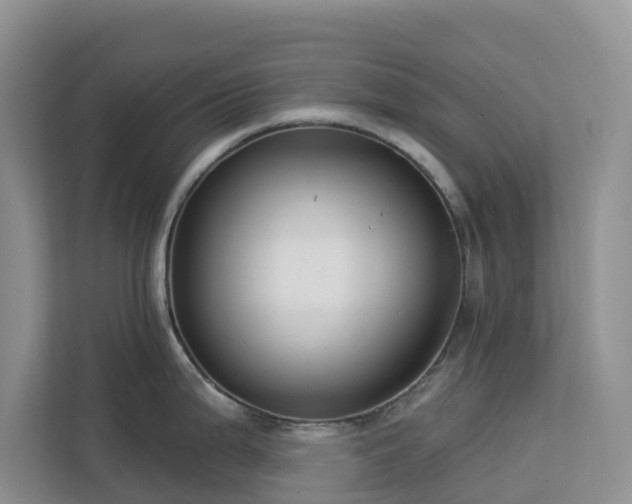 X0000113101199200908281341