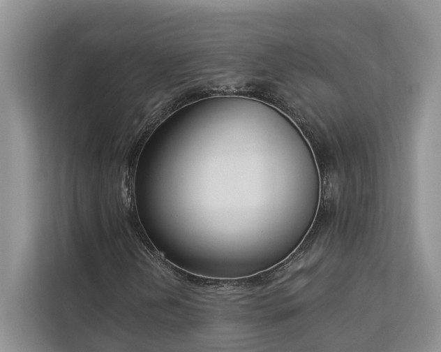 X0000113101202200908281341