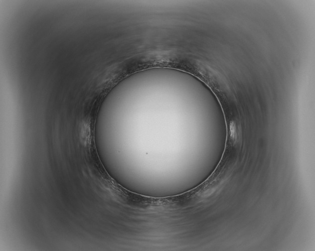 X0000113101203200908281341