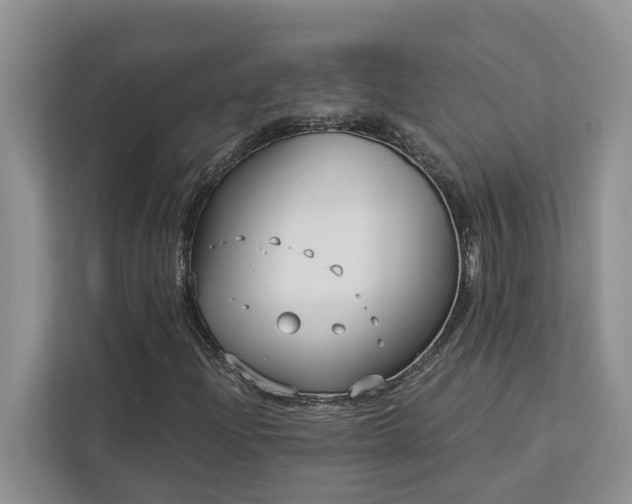 X0000113101204200908281341