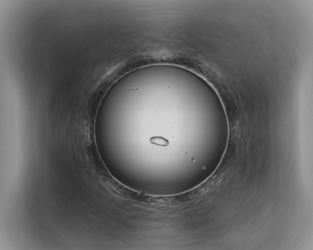 X0000113101205200908281341