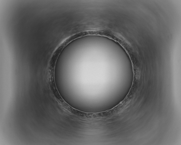 X0000113101208200908281341