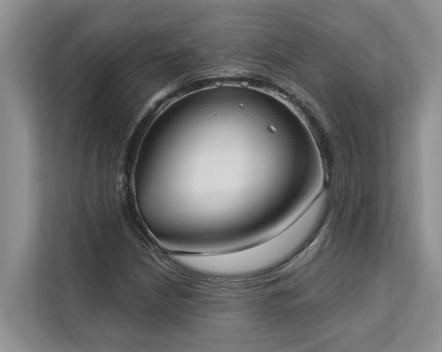 X0000113101210200908281341