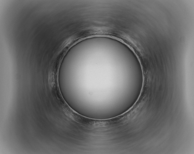 X0000113101211200908281341