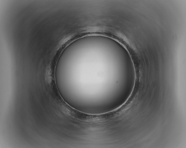 X0000113101213200908281341