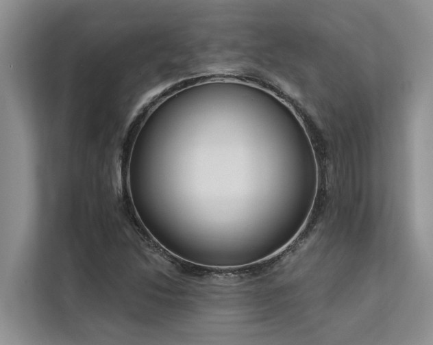 X0000113101214200908281341