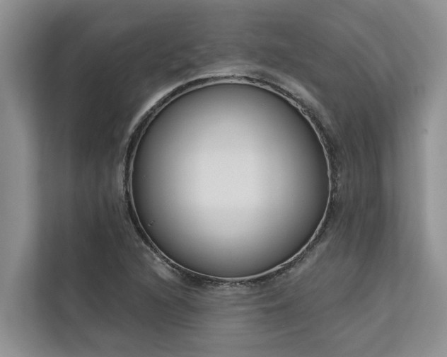 X0000113101216200908281341