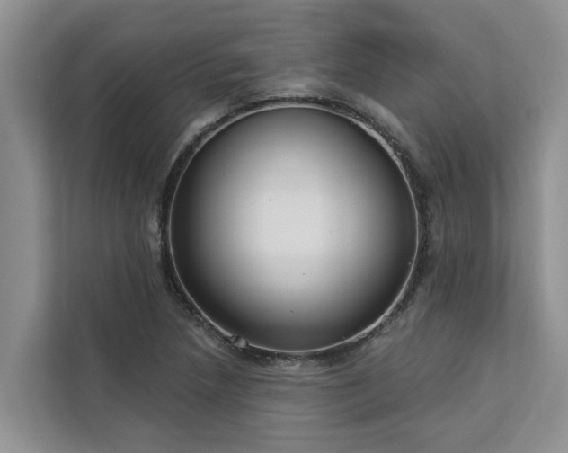 X0000113101218200908281341