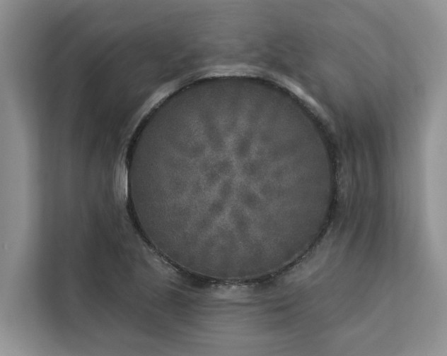 X0000113101221200908281341