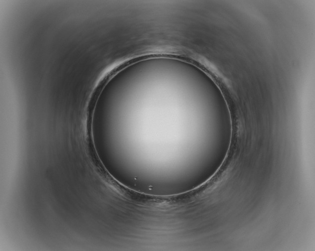 X0000113101222200908281341