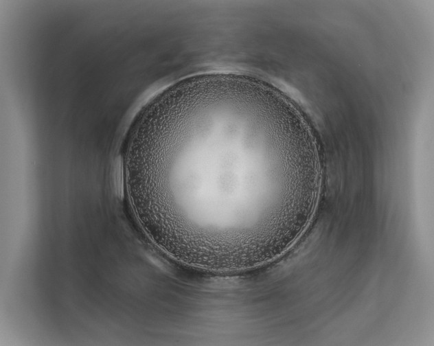 X0000113101223200908281341