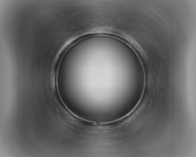 X0000113101224200908281341