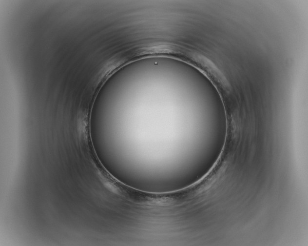 X0000113101225200908281341
