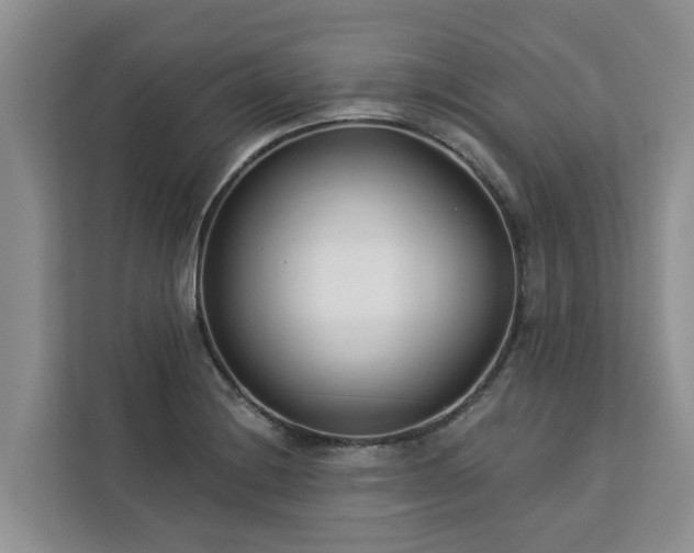 X0000113101228200908281341