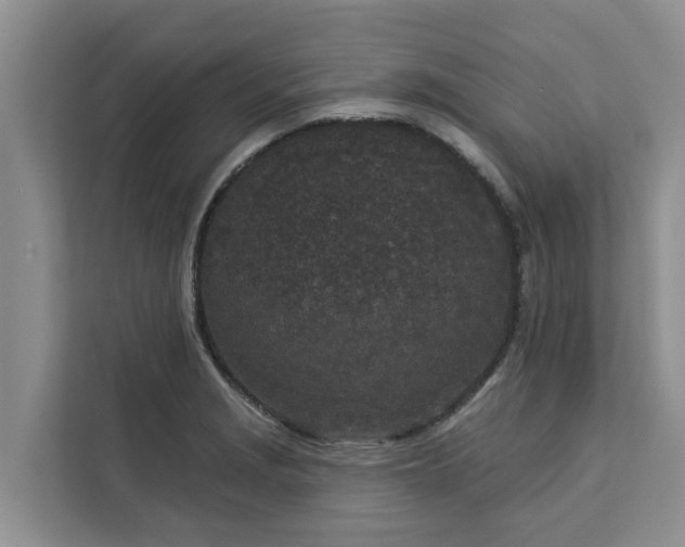 X0000113101229200908281341