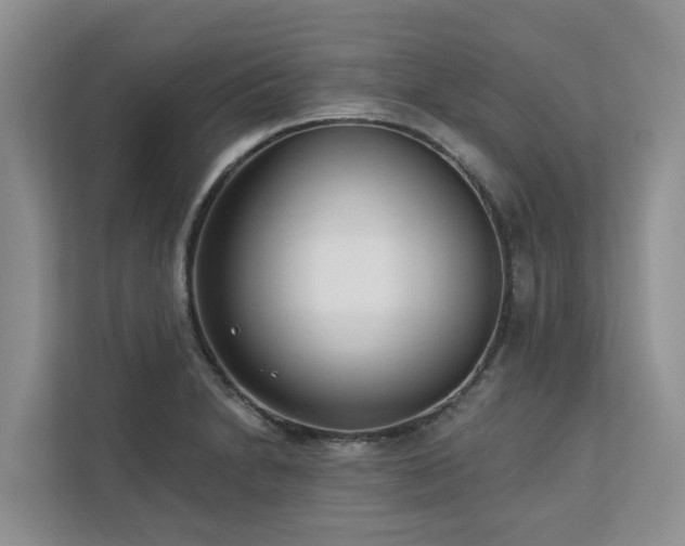 X0000113101230200908281341