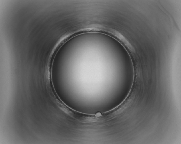 X0000113101232200908281341