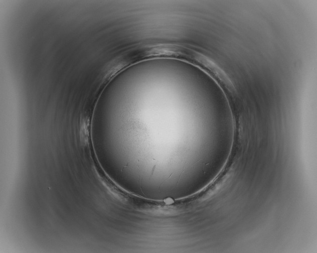 X0000113101233200908281341