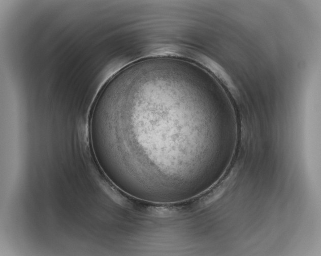 X0000113101234200908281341