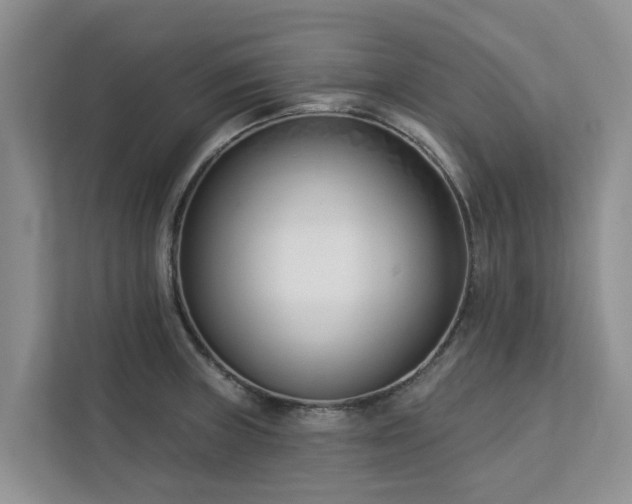 X0000113101235200908281341