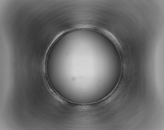 X0000113101236200908281341