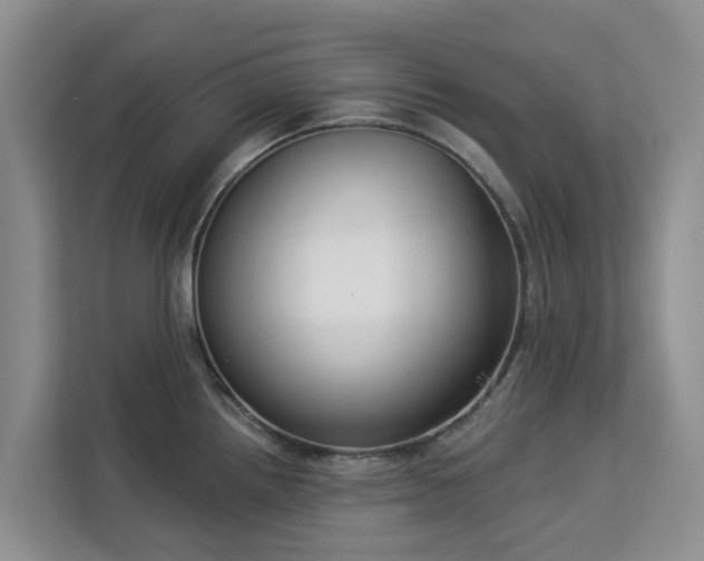 X0000113101242200908281341