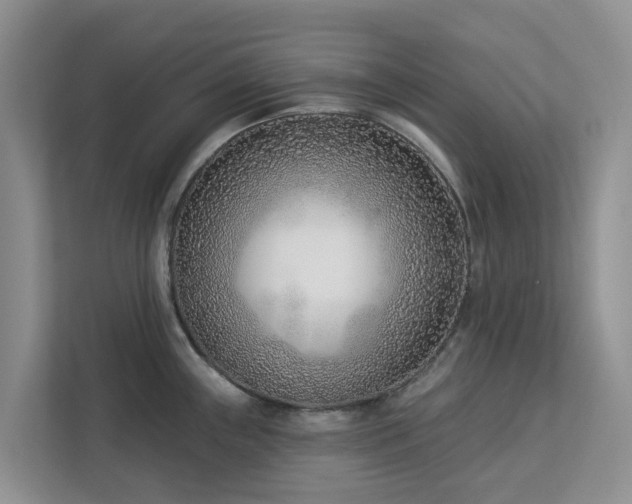 X0000113101243200908281341