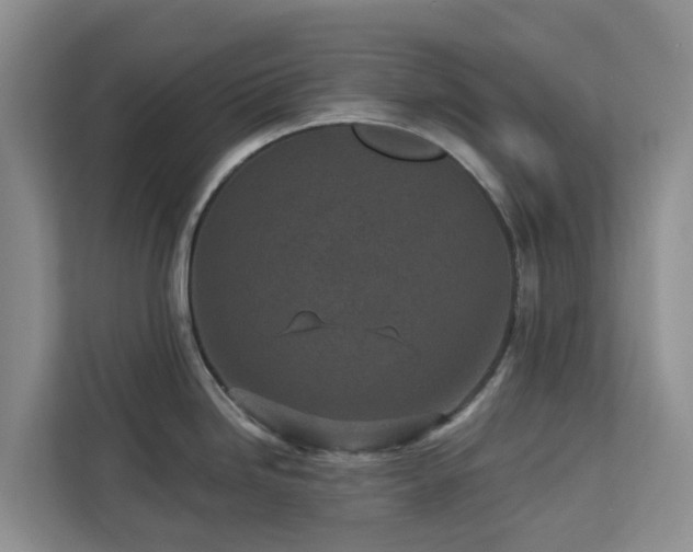X0000113101246200908281341