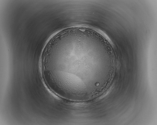 X0000113101247200908281341
