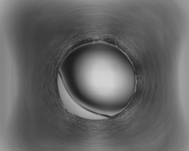 X0000113101249200908281341
