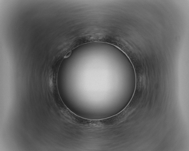 X0000113101250200908281341