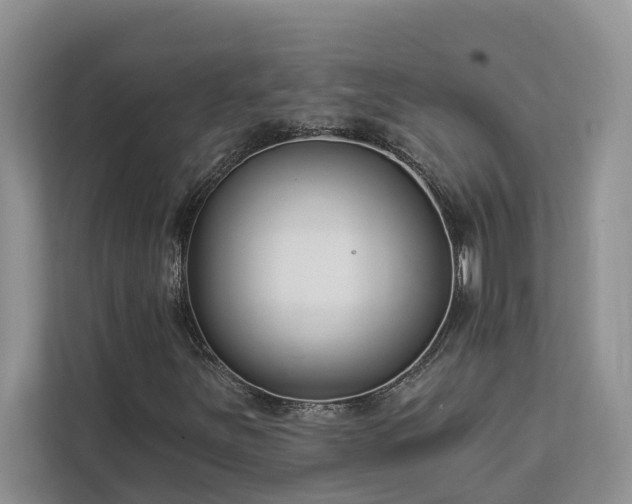 X0000113101251200908281341