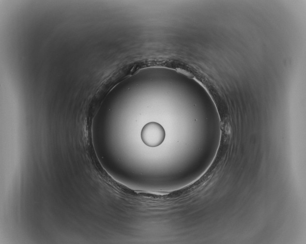 X0000113101252200908281341