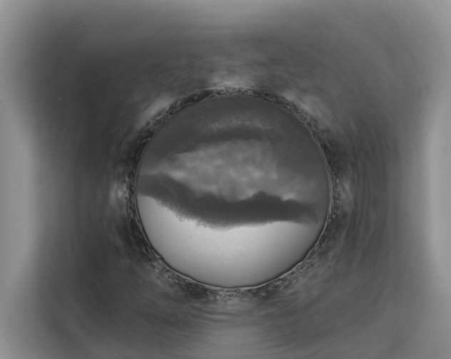 X0000113101254200908281341
