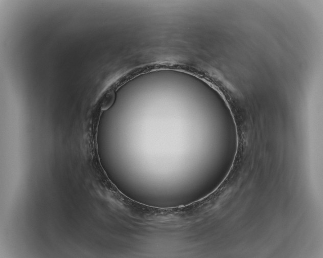 X0000113101256200908281341