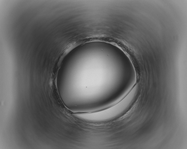 X0000113101257200908281341