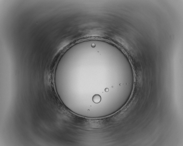 X0000113101258200908281341