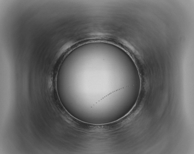 X0000113101259200908281341